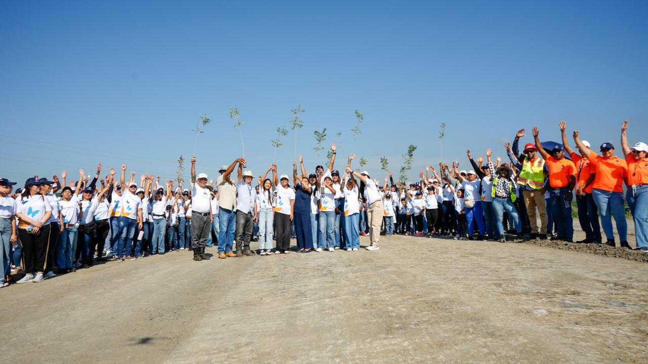 Voluntariado Banreservas siembra 1,500 caobas criollas en Navarrete durante el Mes de la Reforestación