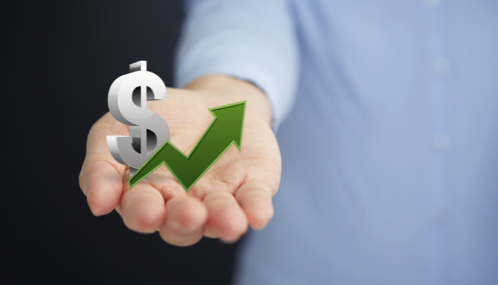 minimalismo financiero